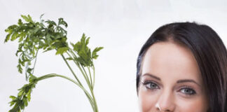 Lifestyle: choose the detox diet that best suits you