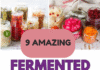 9 Amazing Gut-Healing Fermented Foods for Detox and Digestion For Powerful Results