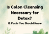Is Colon Cleansing Necessary for Detox? 12 Shocking Facts You Should Know