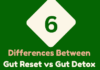 Gut Reset vs Gut Detox: 6 Critical Differences To Know