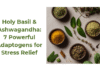 Holy Basil & Ashwagandha: 7 Powerful Adaptogens for Stress Relief