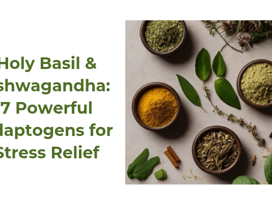 Holy Basil & Ashwagandha: 7 Powerful Adaptogens for Stress Relief