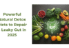 How To Repair a Leaky Gut: Powerful Natural Detox Diets to Try in 2025