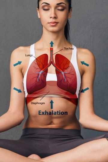 Deep Breathing: The Hidden Pump for Your Lymphatic System