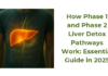 How Phase 1 and Phase 2 Liver Detox Pathways Work: Essential Guide in 2025