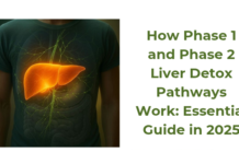 How Phase 1 and Phase 2 Liver Detox Pathways Work: Essential Guide in 2025